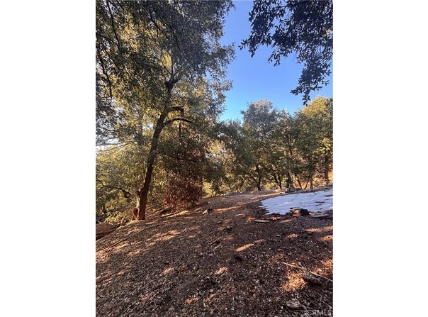 North Rd, Twin Peaks, CA 92391