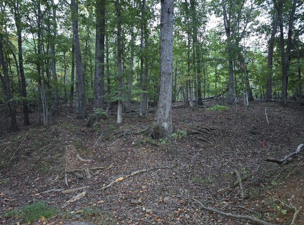 Pilot Mountain Rd, Moneta, VA 24121