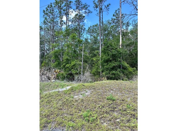 NE Willstone Way, Steinhatchee, FL 32359