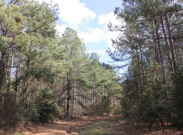 PID 7331 US 59 N, GARRISON, TX 75946