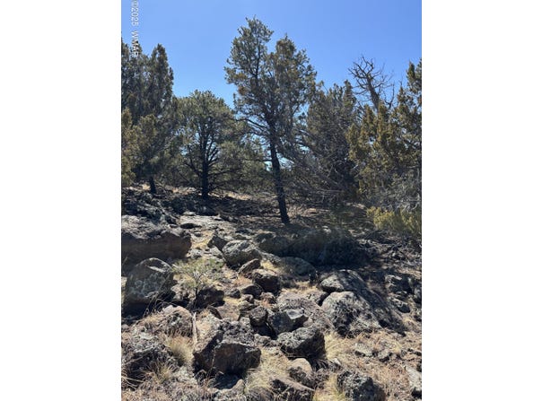 239 Geronimo Dr, Concho, AZ 85924