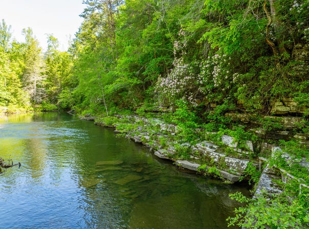 Echo Point Road, Dunlap, TN 37327