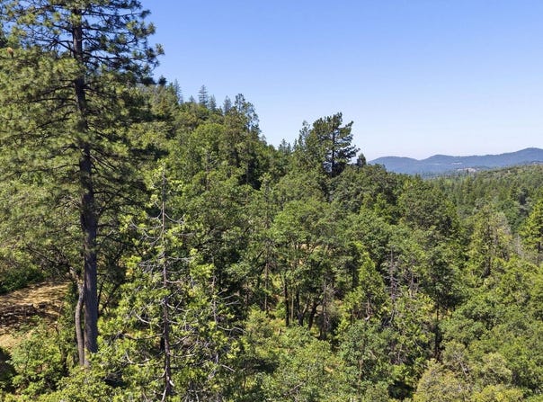 Thunderbolt Drive, Sonora, CA 95370