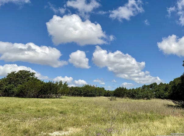 105 Steve Baker, Blanco, TX 78606