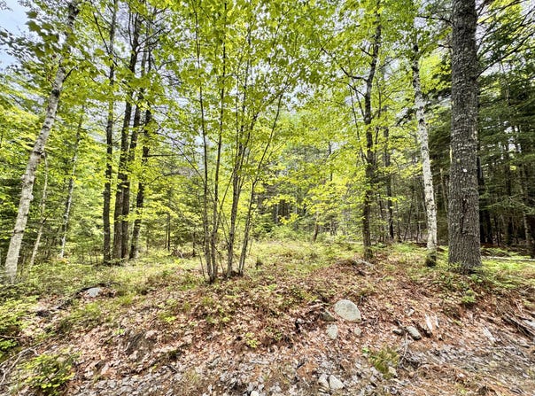 18-B Back Pasture Lane, Blue Hill, ME 04614