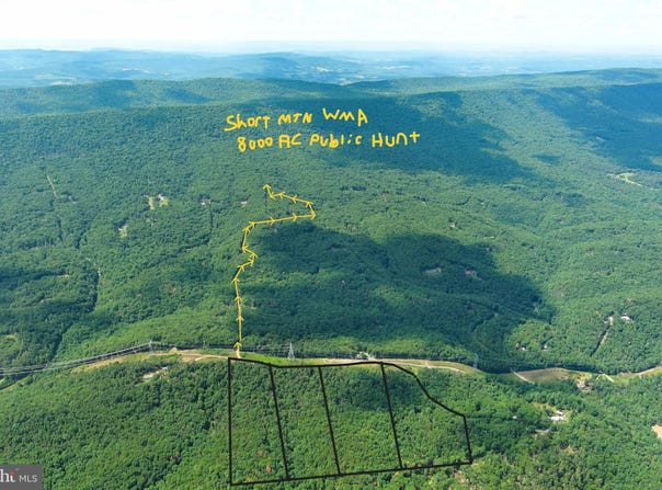 75 LINWOOD Drive, DELRAY, WV 26714