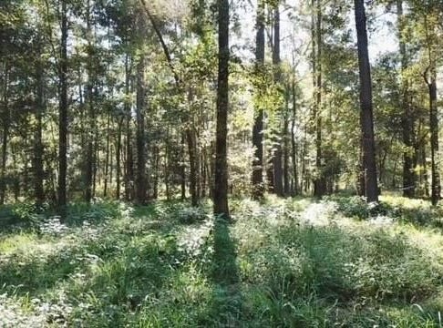 Hwy 28 W, SOSO, MS 39480