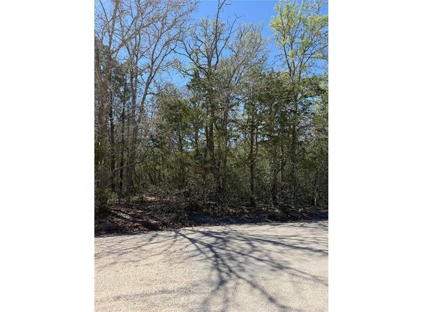 Iva Ln lot: 538, Bastrop, TX 78602