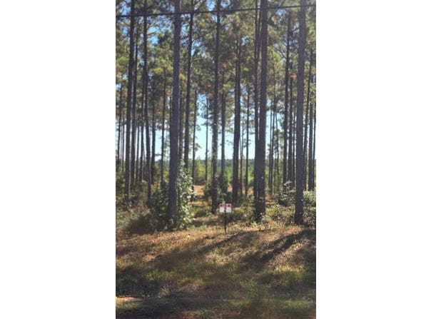 02 Army Recreation Rd, Florien, LA 71429