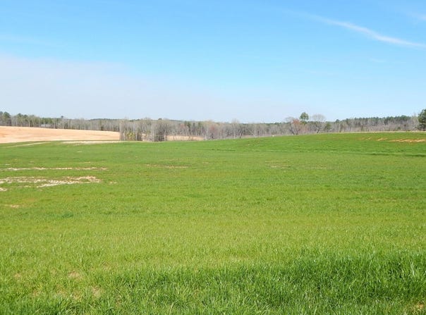 6 Graysport Crossing Road lot: 6, Gore Springs, MS 38929