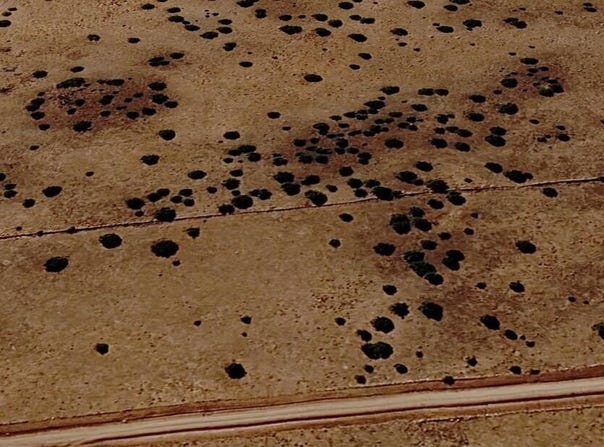 201-37-210, Concho, AZ 85924