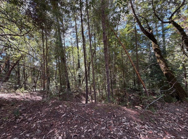 6911 Timber Drive, Sebastopol, CA 95472