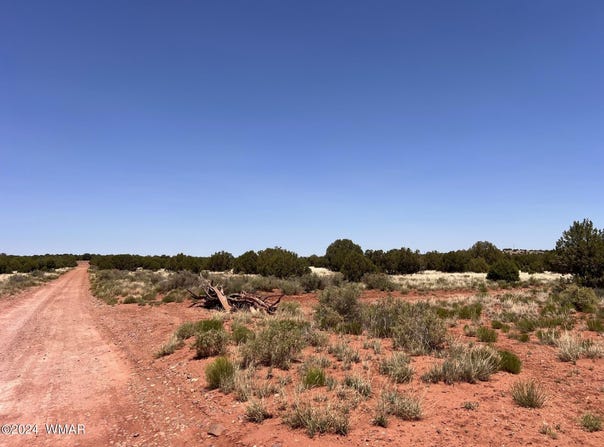 4161 S Pinto Road, Snowflake, AZ 85937