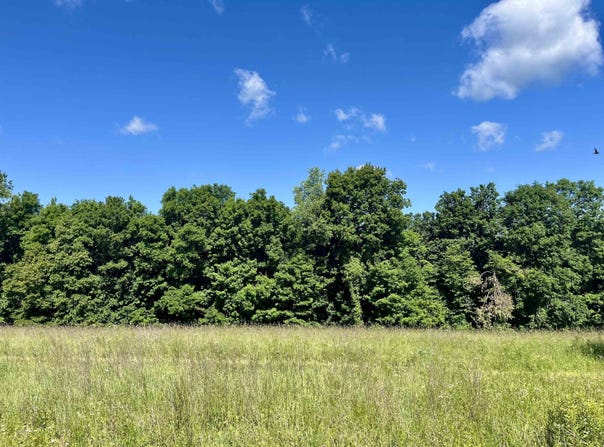 Highway 131, Gays Mills, WI 54631