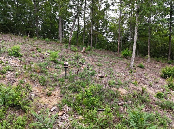 Bayside lot: 42, Bean Station, TN 37708