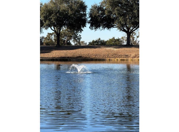 29 North Shore Circle, Waco, TX 76708