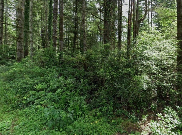 Hemlock St, Florence, OR 97439