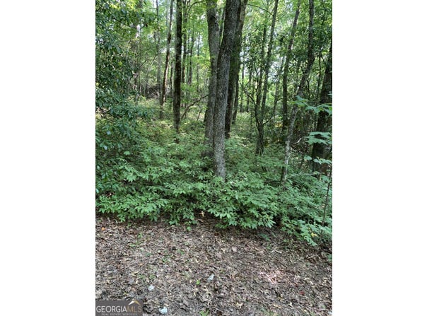Maple Leaf Drive, Dillard, GA 30537