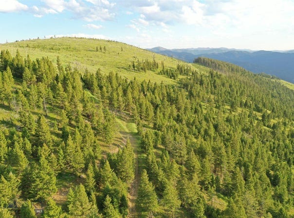 1 Tract, Garnet Range, Drummond, MT 59832