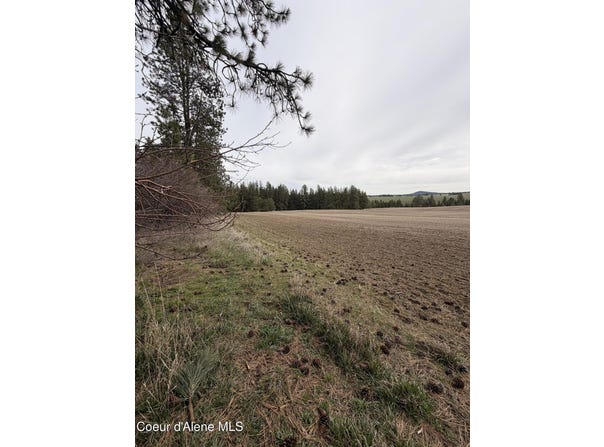 Sandhill Rd., Winchester, ID 83555