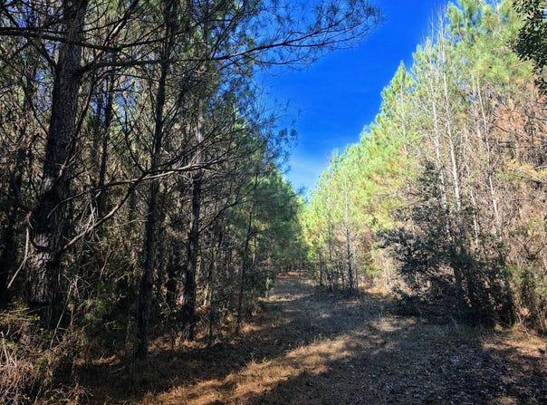 1 County Rd. 23, Marion, AL 36756