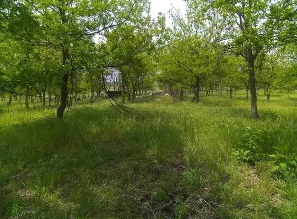 1209 County Road 416, Comanche, TX 76442