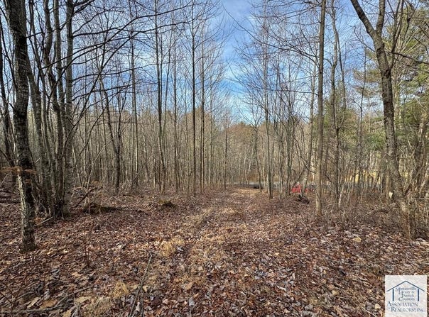 Shelor Rd, Meadows of Dan, VA 24120