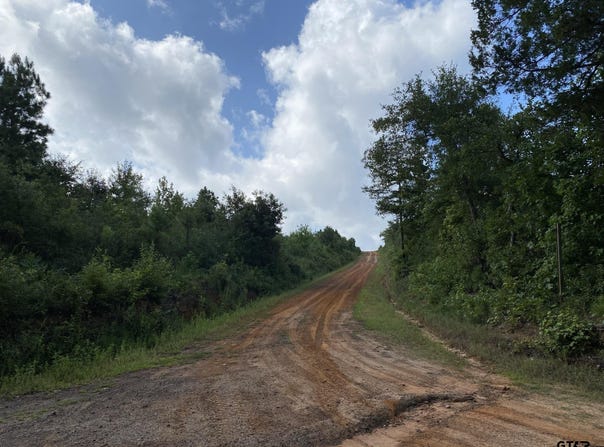County Road 394, Tatum, TX 75691