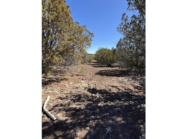 107-10-334, Concho, AZ 85924