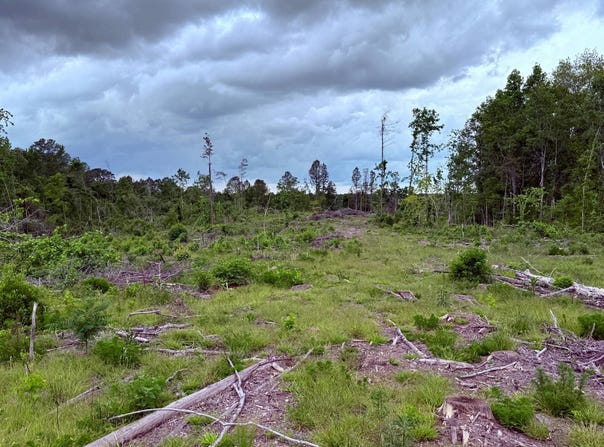 000 Highway 397 South, Preston, MS 39354