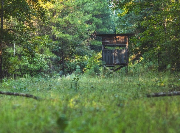 Bill Hubbard Rd, Braxton, MS 39044