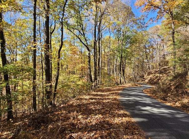 Confederate Drive, Clayton, GA 30525