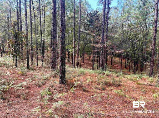 State Highway 225, Bay Minette, AL 36507