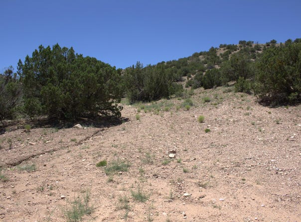 Tres Amigos Road, Placitas, NM 87043