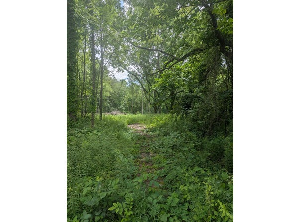 M-43, Bangor, MI 49013