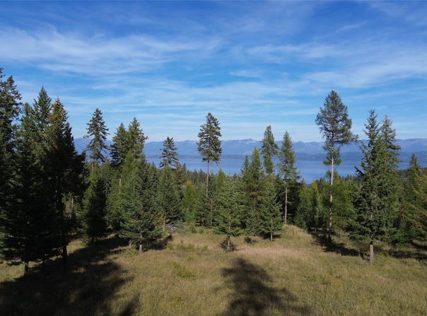 150 Eagles Crest Road, Lakeside, MT 59922