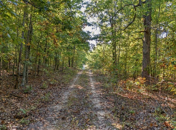 County Road 9400, West Plains, MO 65775