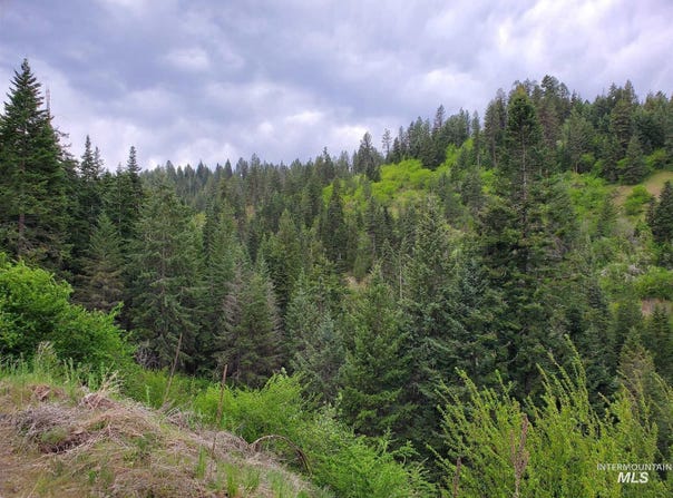 Clearwater Rd, Stites, ID 83552