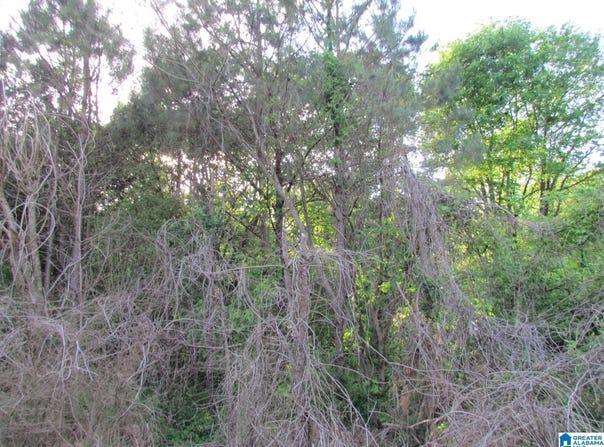 HIGHWAY 27 lot: 0, ONEONTA, AL 35121