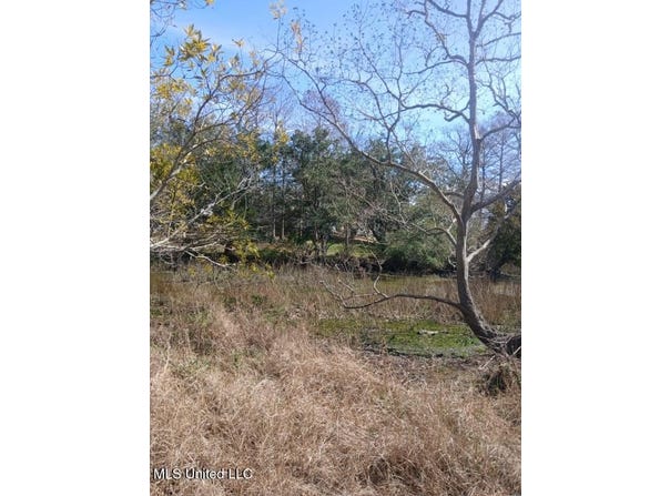 Robert Hiram Drive, Gautier, MS 39553