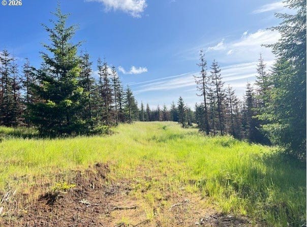 NW LODGE Rd, Banks, OR 97106