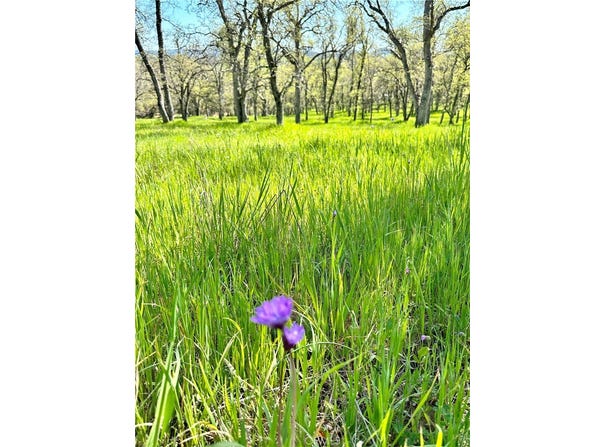18461 Old Wards Ferry Road, Sonora, CA 95370