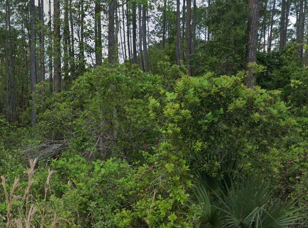 Glenside Street, Georgetown, FL 32139