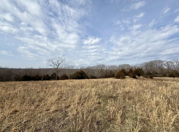 Highway M, Cabool, MO 65689