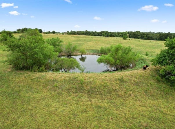 Whitaker Road, Van Alstyne, TX 75495