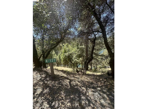 4-127 Pine Mountain Dr, Groveland, CA 95321
