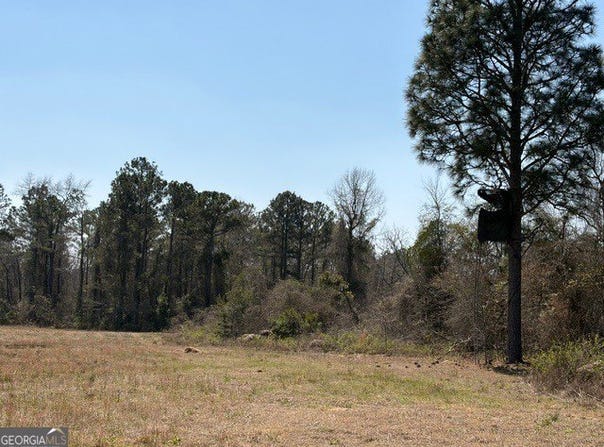 461 Currington Road, Mauk, GA 31058