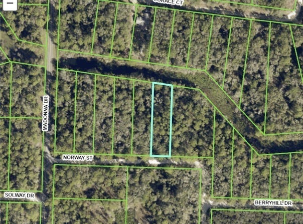 7200 Norway Street, Webster, FL 33597
