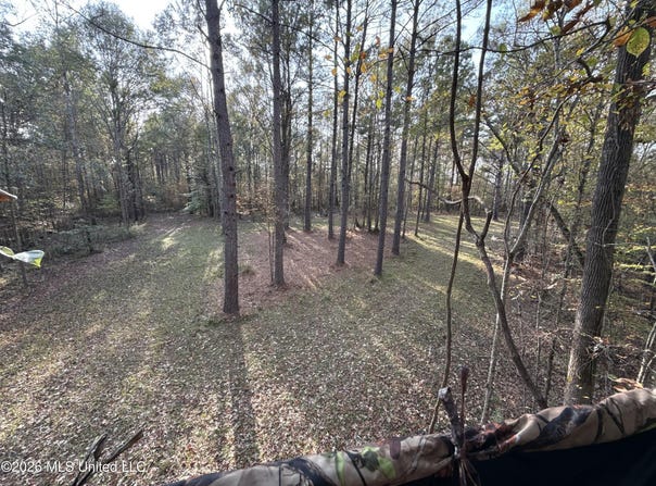 23 Pheasant Road, Roxie, MS 39661