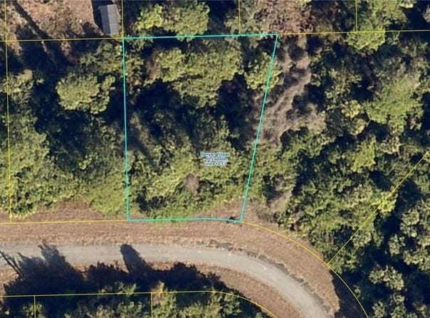715 Eugene Cernan Drive, Labelle, FL 33935
